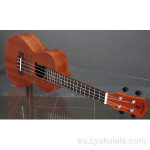 Ukelele de patrón de conejo